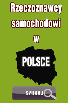 Rzeczoznawcy Samochodowi w Polsce